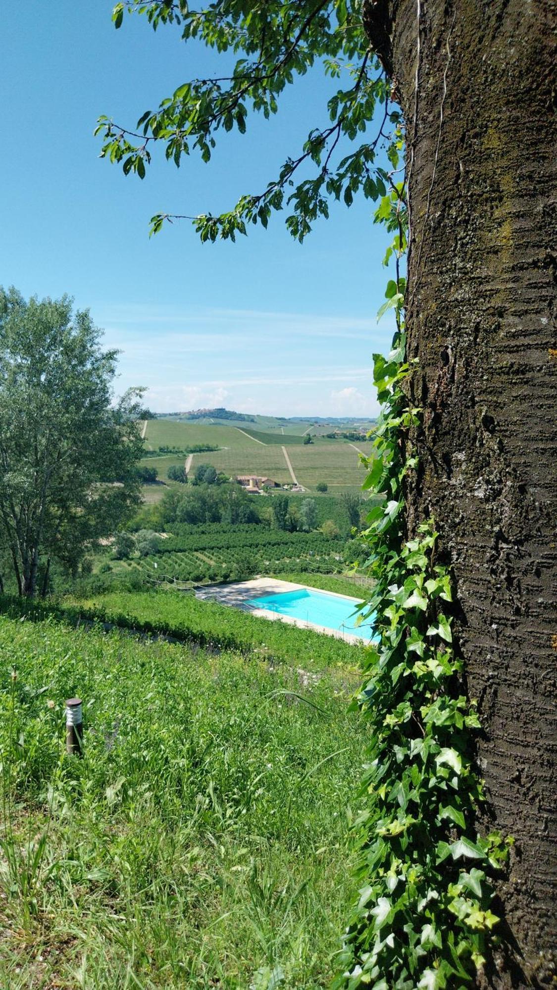 Tenuta Montanello B&B 카스티글리오네 팔레토 외부 사진