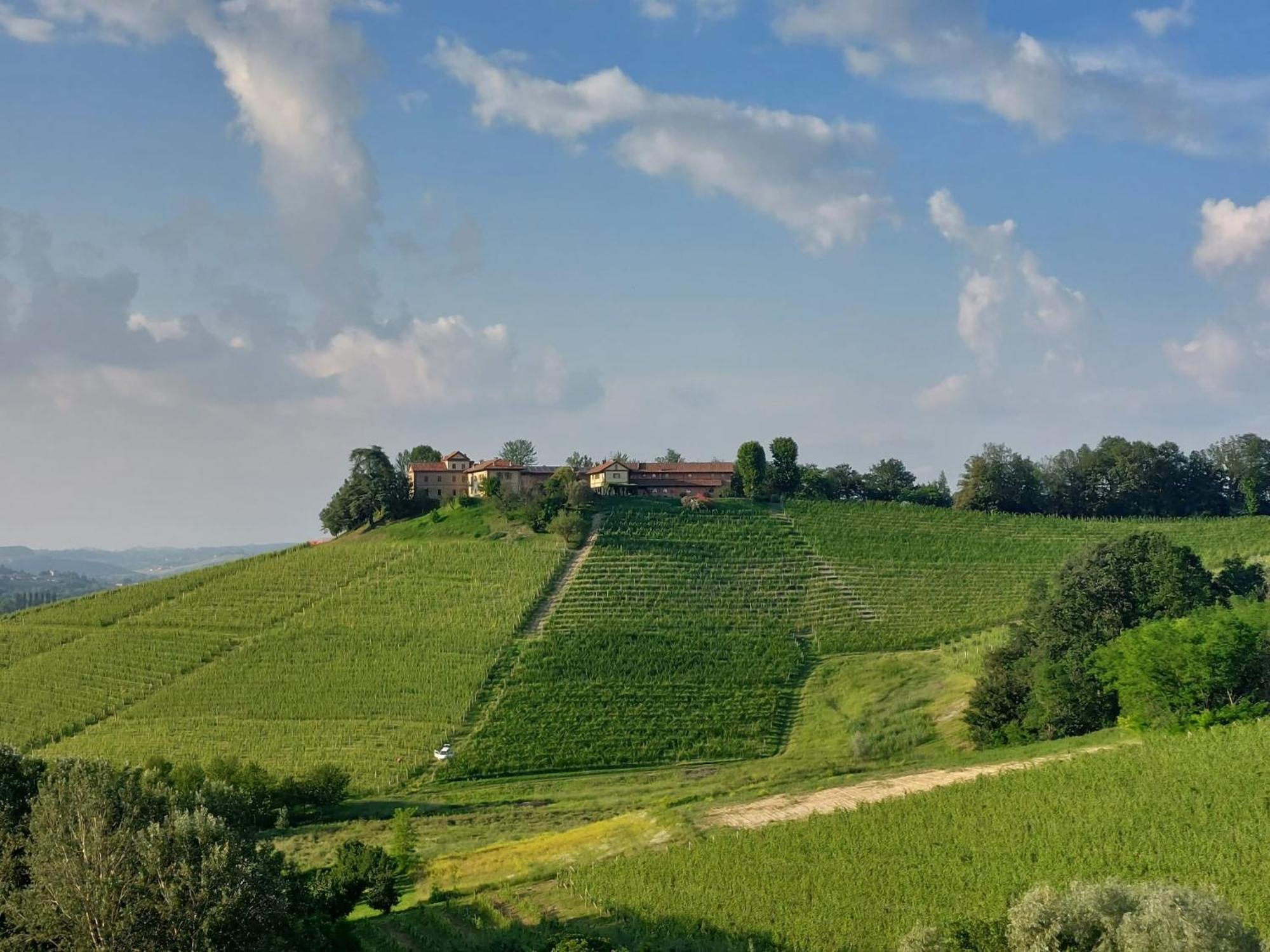 Tenuta Montanello B&B 카스티글리오네 팔레토 외부 사진